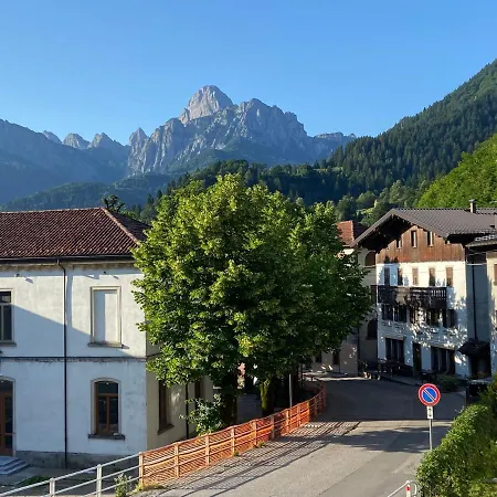 Stella Alpina *