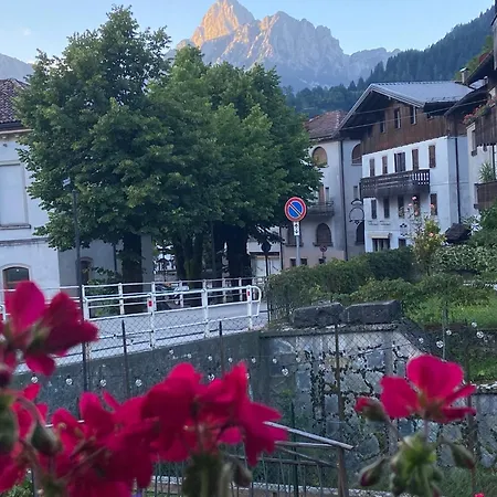 Stella Alpina 3* Paularo